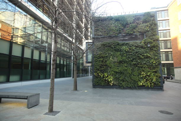 istock Holborn, the City and St Pauls 646207924