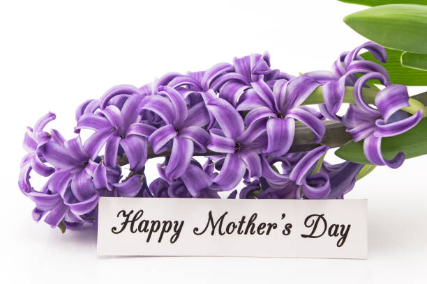 istock Happy Mother's Day,  Greeting Card 646211068