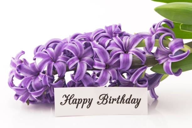 istock Happy Birthday Card with Hyacinth 646211102