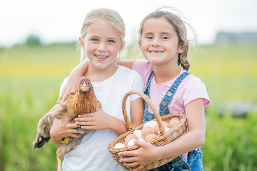Two elementary age girls are standing outside together on their families farm. They are holding a basket of eggs and a chicken while smiling and looking at the camera.