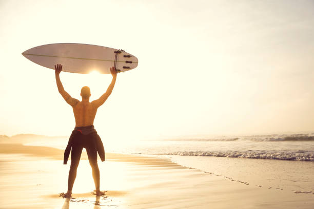 istock Surfing is a way of life 646217508