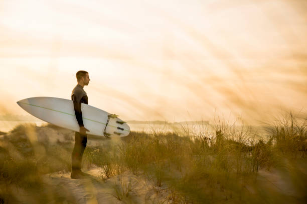 istock Searching for the swell 646217516