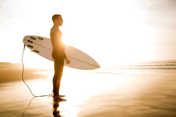 istock Surfing is a way of life 646217518