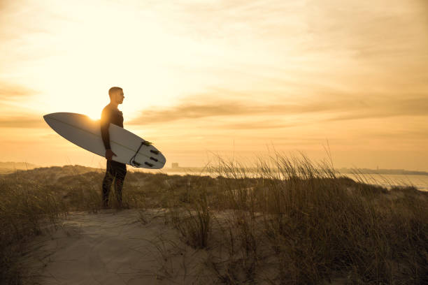 istock Searching for the swell 646217528