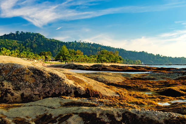 istock View of blue sea and stones with growing algae 646220974