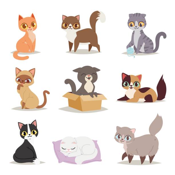 nette katzen charakter verschiedene pose vektor - cat food stock-grafiken, -clipart, -cartoons und -symbole