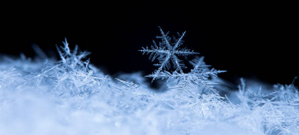 istock natural snowflakes on snow 646224862
