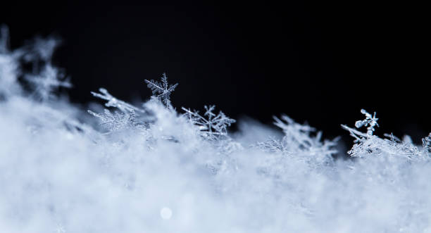 istock natural snowflakes on snow 646224976