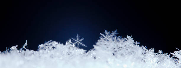 istock natural snowflakes on snow 646225026