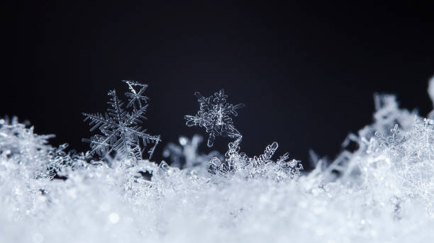 istock natural snowflakes on snow 646225056