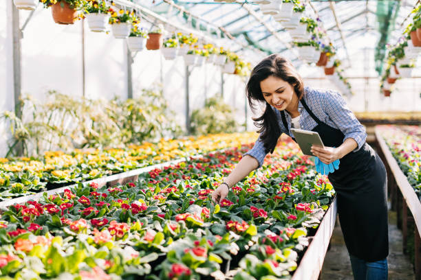 istock Technology and quality control in the greenhouse 646225090