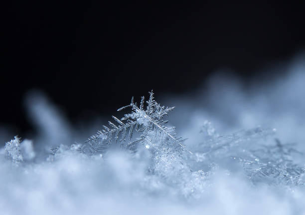 istock natural snowflakes on snow 646225186