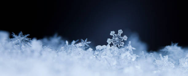 istock natural snowflakes on snow 646225204