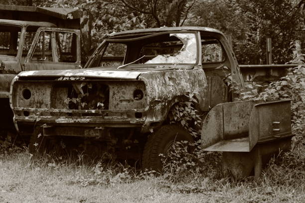 istock rusty car wreck in the forest in sepia 646228550