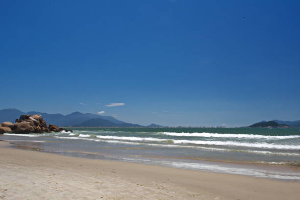 istock The beautiful Pinheira beach 646228730