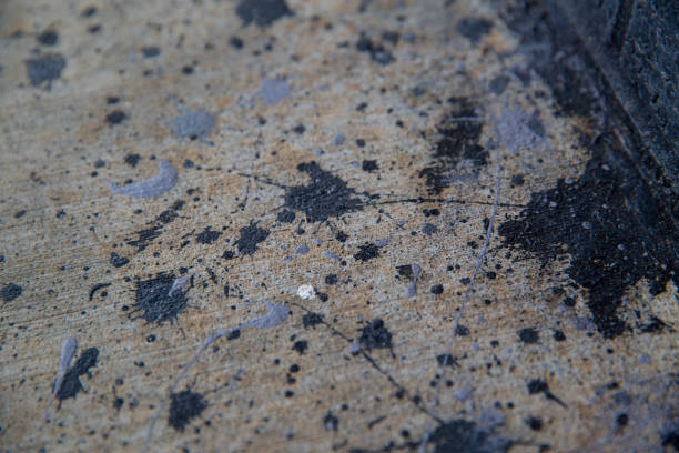 istock Black and Gray Paint Splatter on Ground 646231174