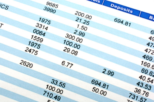 istock Balancing a bank statement close-up background 646235180