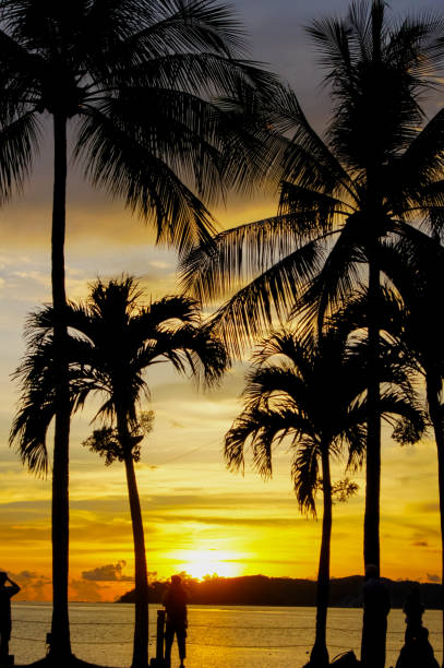 istock Magic hour of tropical beach at Sabah 646247206