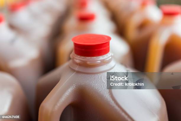 Rows Of Plastic Gallon Jars On Display Filled With Cider Stock Photo - Download Image Now