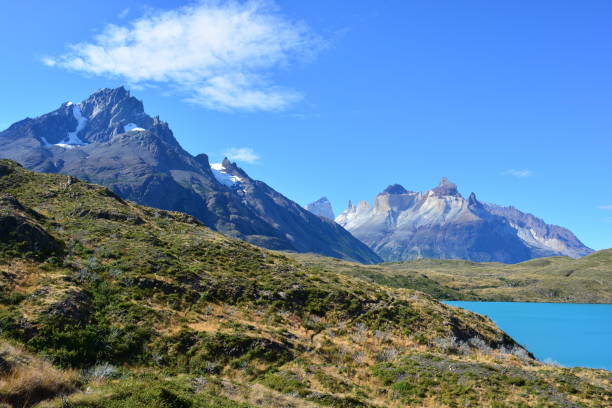 istock Torres del Paine National Park, Chile 646268512