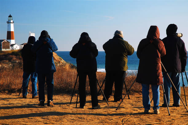 Montauk, NY, USA March 6, 2010 A group of birdwatchers brave the cold , spotting the species at Montauk Point