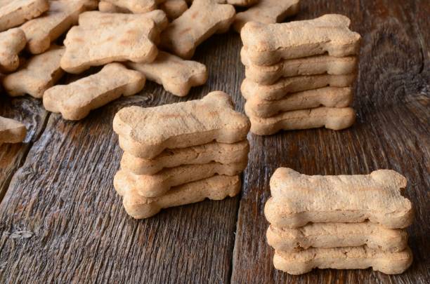 istock Dog Treat Background 646299746