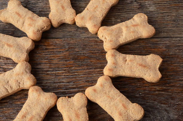 istock Dog Treat Background 646299750