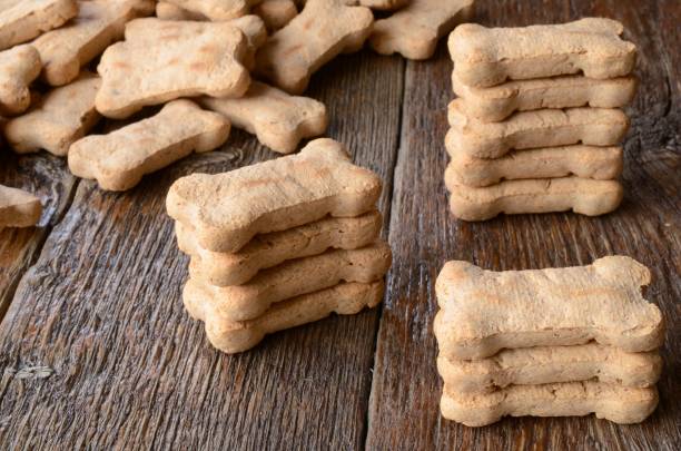 istock Dog Treat Background 646299758