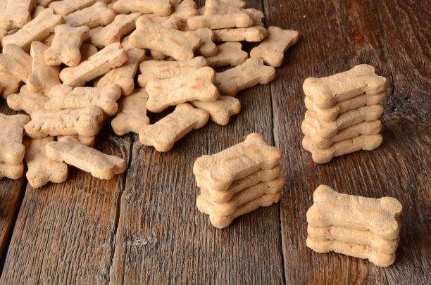 istock Dog Treat Background 646299802