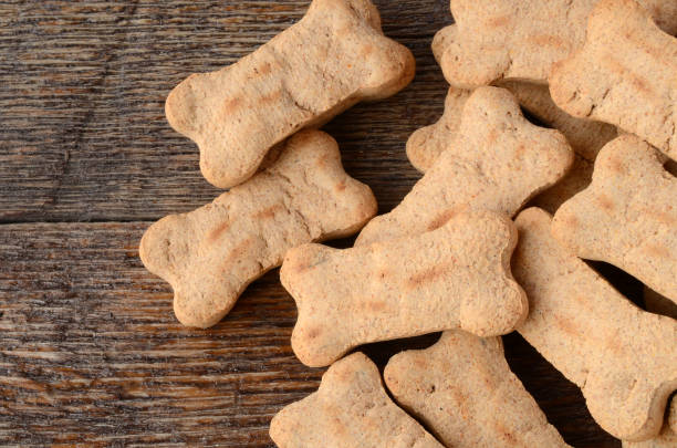 istock Dog Treat Background 646299908