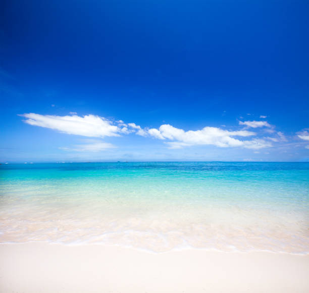 istock beach and tropical sea 646321606