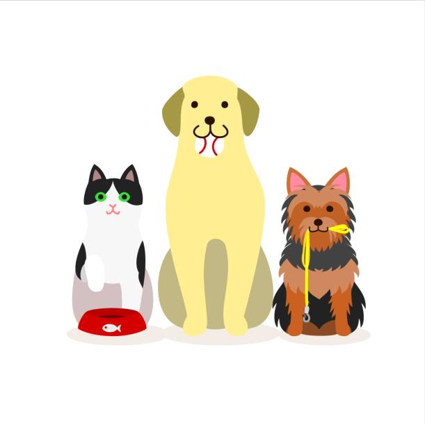 Walking Three Dogs Illustrations, Royalty-Free Vector Graphics & Clip Art -  iStock
