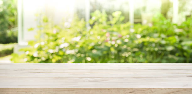 istock Wood table top on blur abstract green from garden background. 646328334