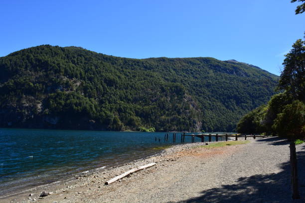 istock Los Alerces National Park, Argentina 646334064