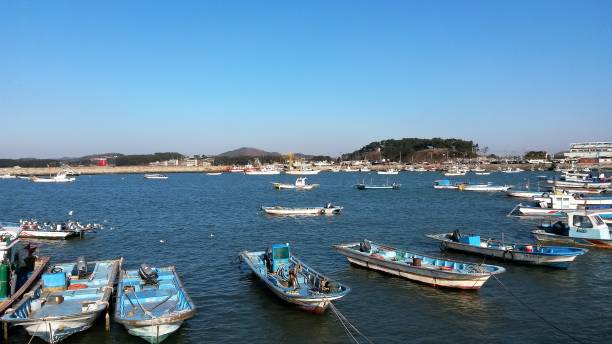 istock Fishing boats on the beach 646334864
