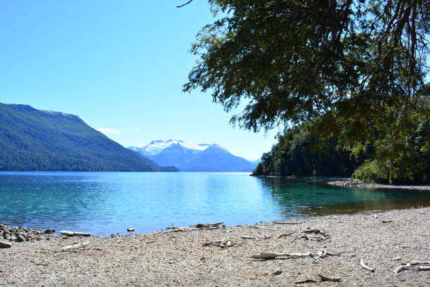 istock Los Alerces National Park, Argentina 646337204