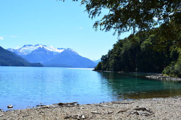istock Los Alerces National Park, Argentina 646337356