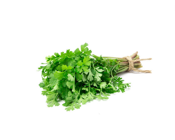 istock Fresh Green parsley on  white background 646341894