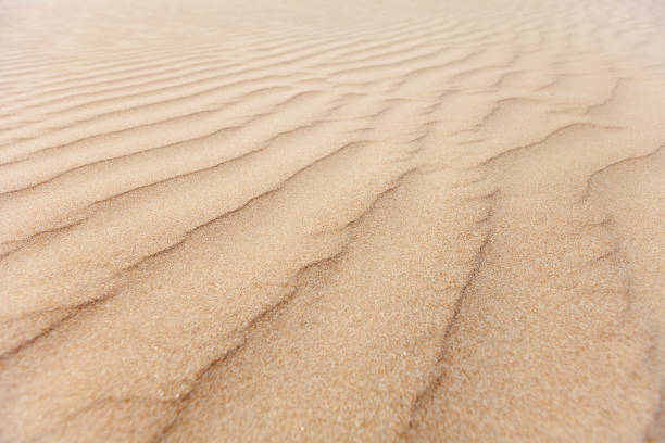 istock closeup of sand pattern of a beach in the summer 646344162