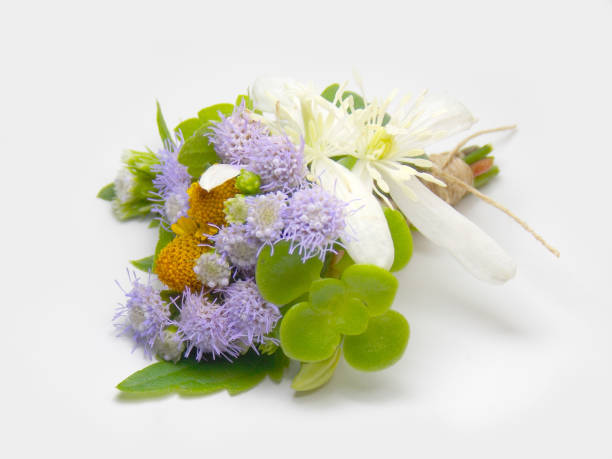 istock Flower boutonniere 646344810