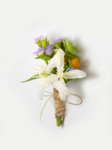 istock Flower boutonniere 646344868
