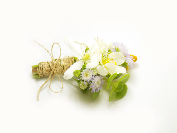 istock Flower boutonniere 646344900