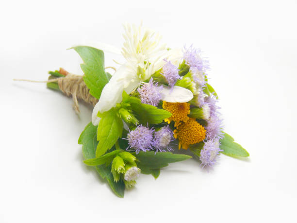 istock Flower boutonniere 646344994