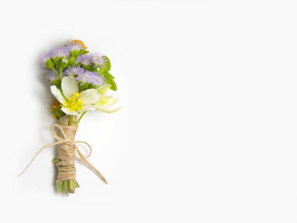 istock Flower boutonniere 646345060