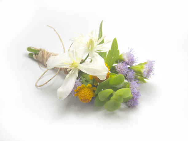istock Flower boutonniere 646345088