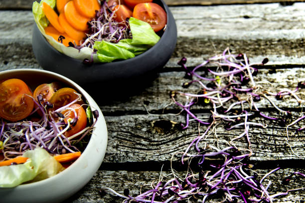 istock Preparing salad on an old wooden table 646352692