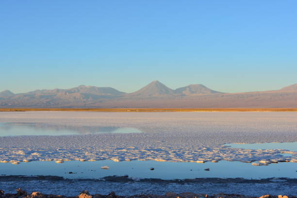 istock Landscape in the Atacama desert, Chile 646353998