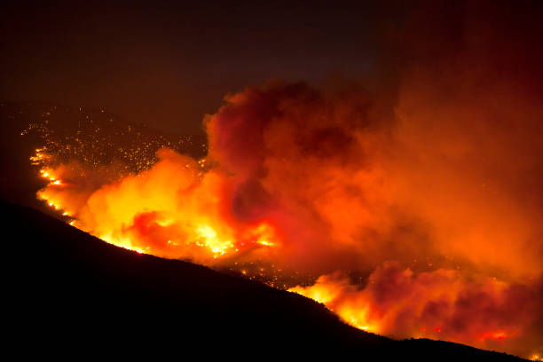 istock Wildfire burning on a hillside in rural Nevada 646356268