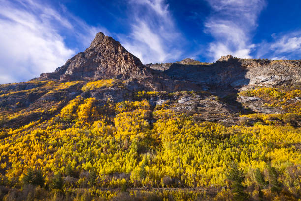 lamoille canyon is the largest valley in the ruby mountains, located in the central portion of elko county in the northeastern section of the state of nevada. trees are in fall colors. - nevada landscape rock tree imagens e fotografias de stock