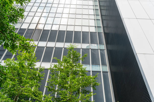 istock green leaves front of office building 646362426